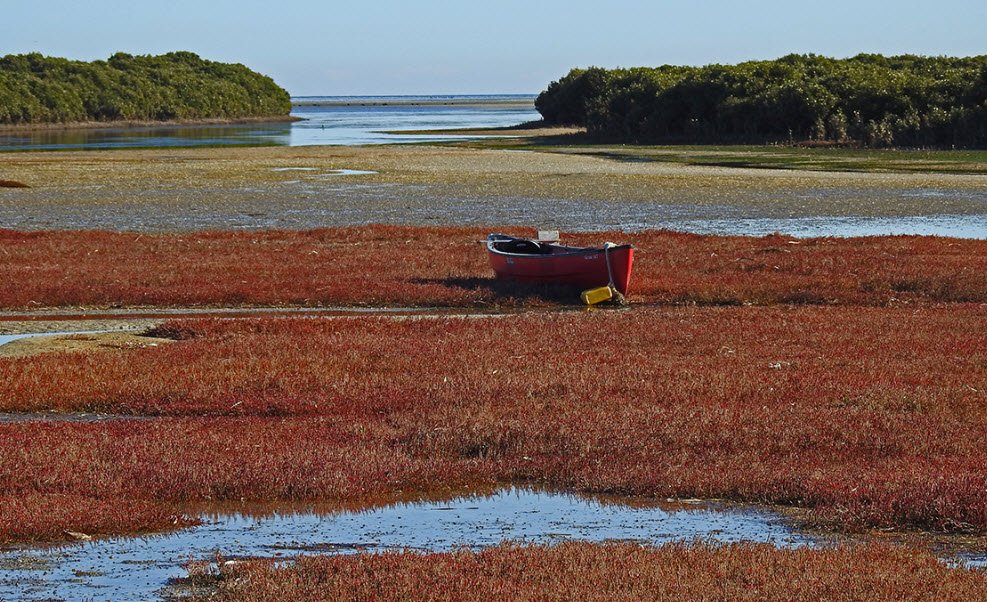 Middle Beach, Australia